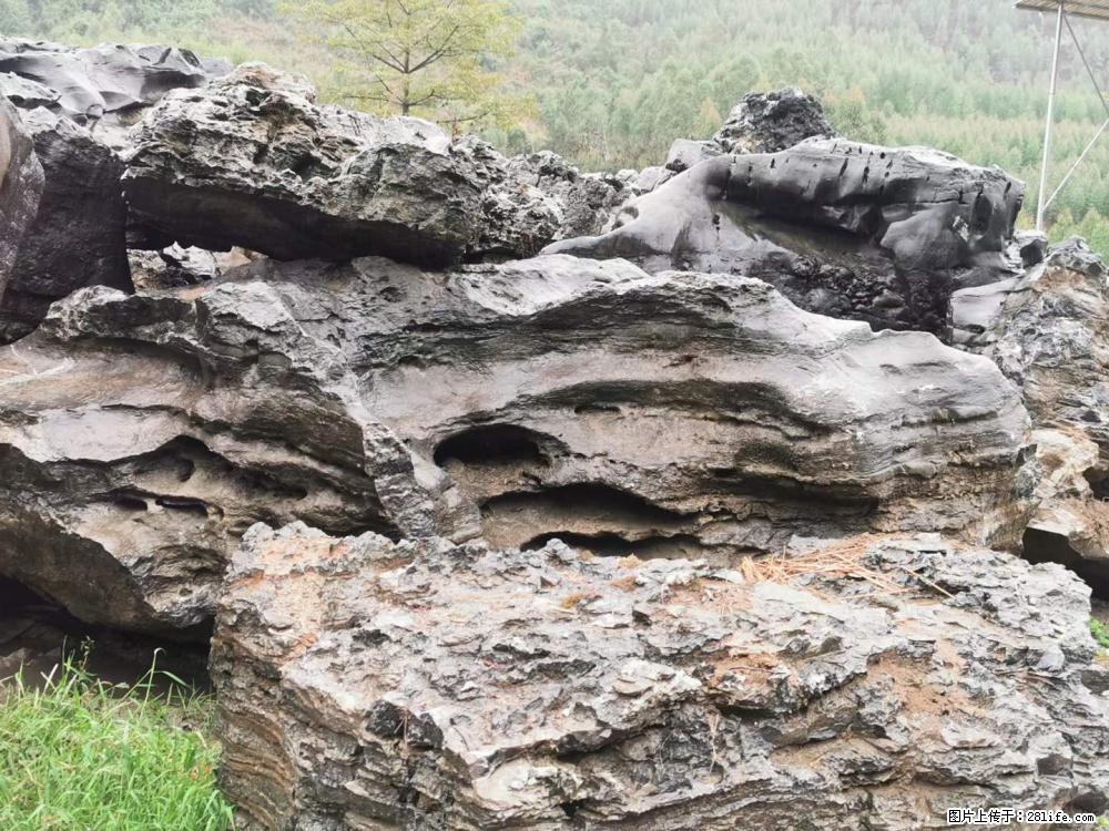 风景石、假山石大量有货，有需要的欢迎联系 - 新手上路 - 正定生活社区 - 正定28生活网 zd.28life.net