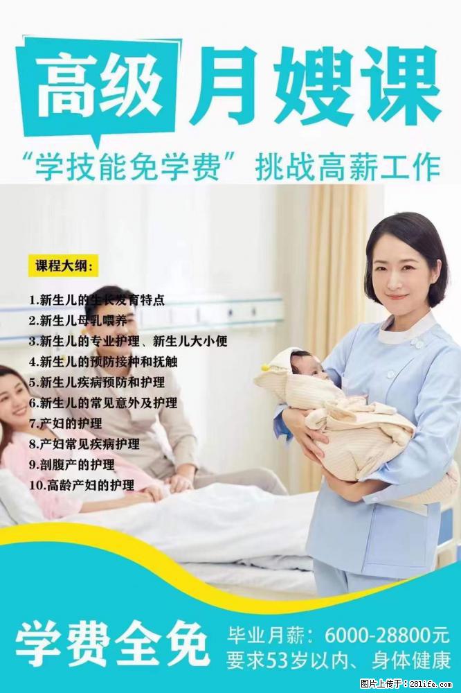 为什么要学习月嫂，育婴师？ - 其他广告 - 广告专区 - 正定分类信息 - 正定28生活网 zd.28life.net