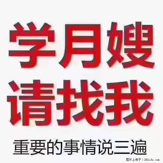 为什么要学习月嫂，育婴师？ - 新手上路 - 正定生活社区 - 正定28生活网 zd.28life.net