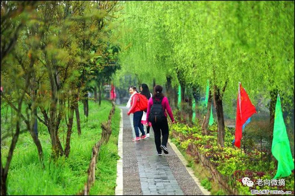 【春天，广西桂林灌阳县向您发出邀请！】江口老街又逢春 - 游山玩水 - 正定生活社区 - 正定28生活网 zd.28life.net
