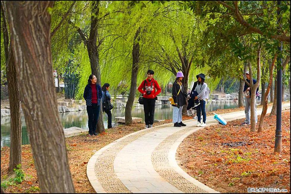 【春天，广西桂林灌阳县向您发出邀请！】江口老街又逢春 - 游山玩水 - 正定生活社区 - 正定28生活网 zd.28life.net