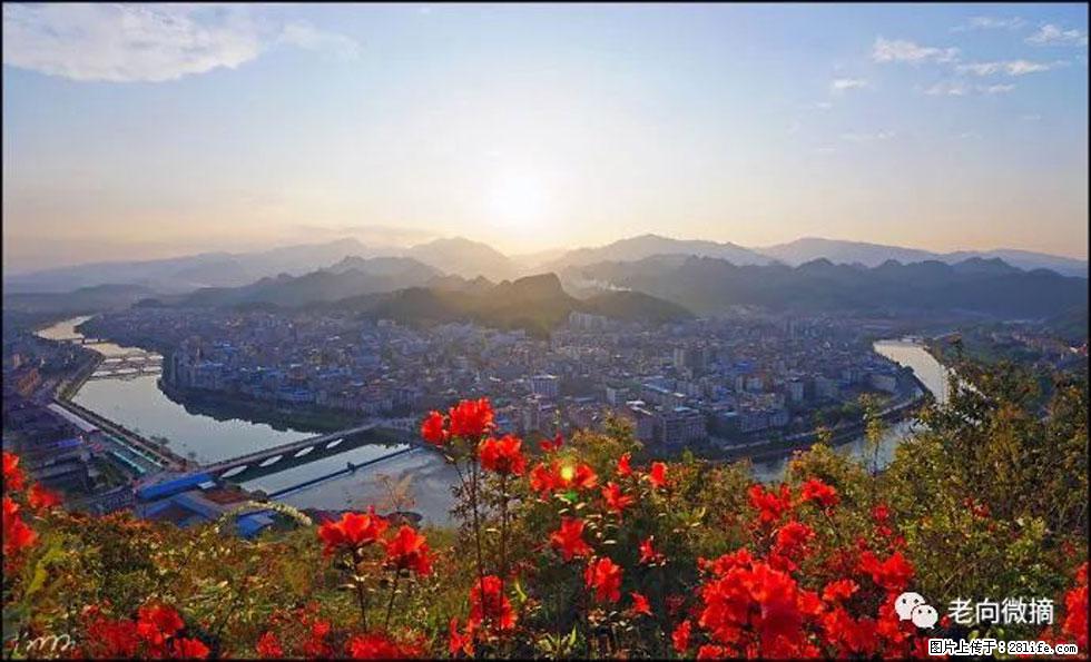 【春天，广西桂林灌阳县向您发出邀请！】登麒麟山，相约映山红 - 游山玩水 - 正定生活社区 - 正定28生活网 zd.28life.net
