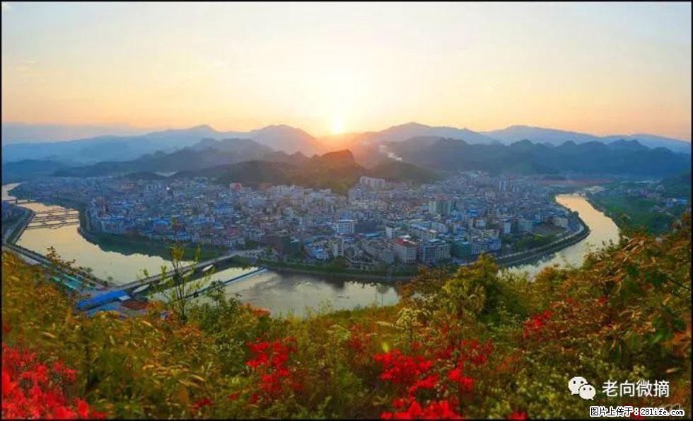 【春天，广西桂林灌阳县向您发出邀请！】登麒麟山，相约映山红 - 游山玩水 - 正定生活社区 - 正定28生活网 zd.28life.net