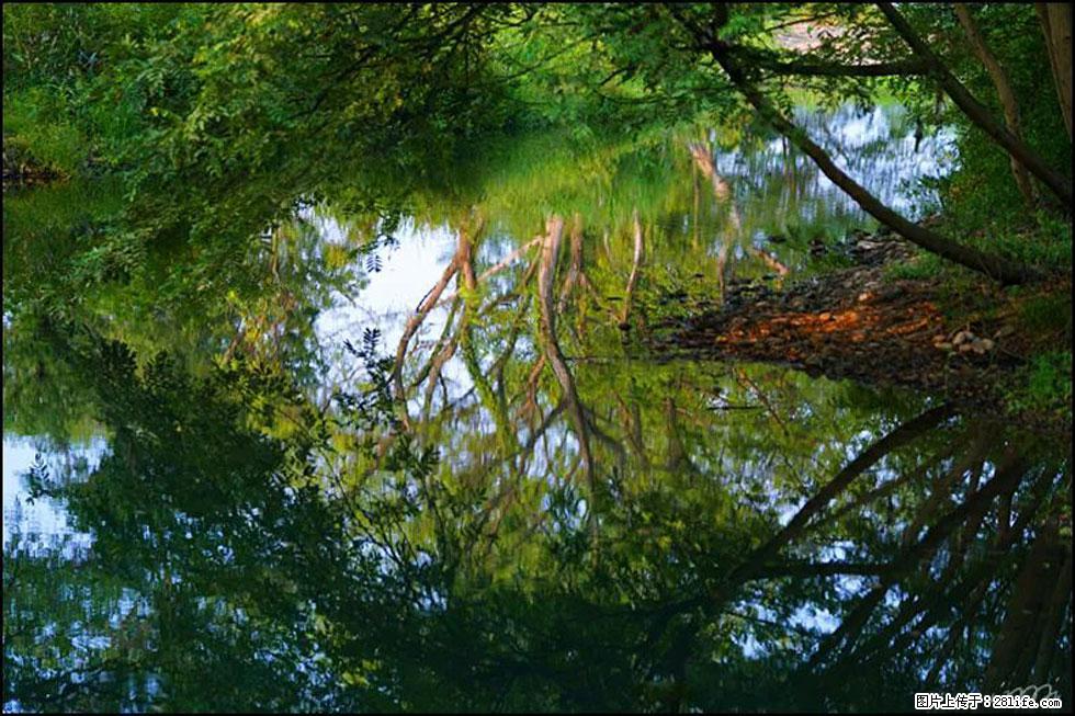 【春天，广西桂林灌阳县向您发出邀请！】熊家寨湿地公园 - 游山玩水 - 正定生活社区 - 正定28生活网 zd.28life.net