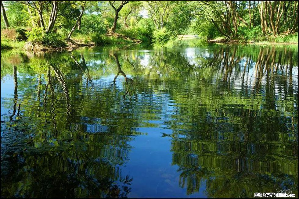 【春天，广西桂林灌阳县向您发出邀请！】熊家寨湿地公园 - 游山玩水 - 正定生活社区 - 正定28生活网 zd.28life.net