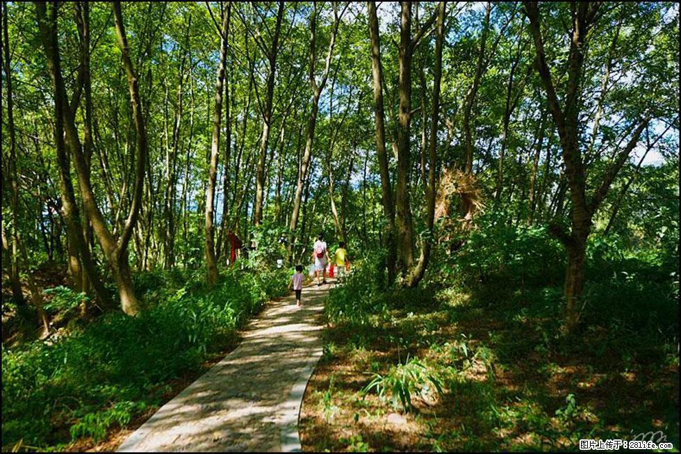 【春天，广西桂林灌阳县向您发出邀请！】熊家寨湿地公园 - 游山玩水 - 正定生活社区 - 正定28生活网 zd.28life.net