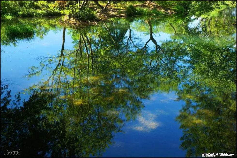 【春天，广西桂林灌阳县向您发出邀请！】熊家寨湿地公园 - 游山玩水 - 正定生活社区 - 正定28生活网 zd.28life.net