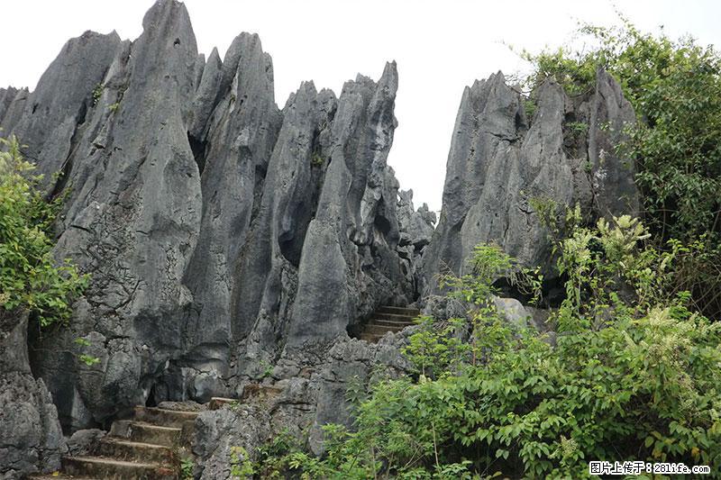 桂林旅游名城景点：灌阳文市石林 - 游山玩水 - 正定生活社区 - 正定28生活网 zd.28life.net