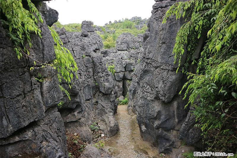 桂林旅游名城景点：灌阳文市石林 - 游山玩水 - 正定生活社区 - 正定28生活网 zd.28life.net