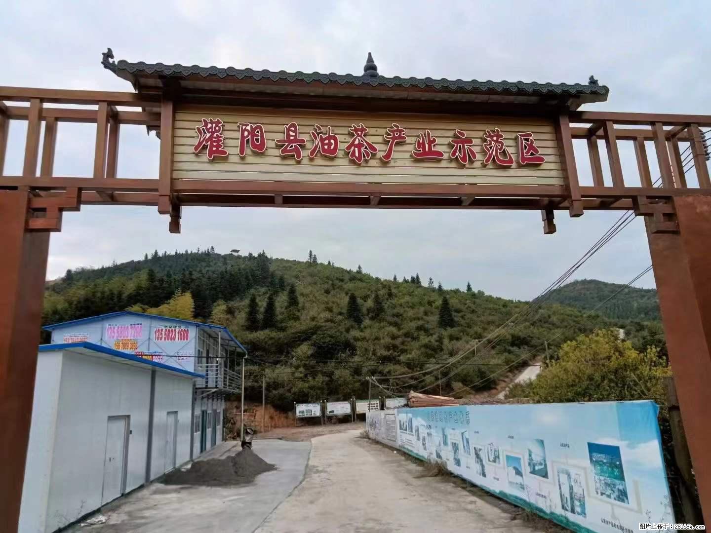 【灌阳县油茶产业示范区】一个有着充实的精神生活的人，对待身外之物自会有一种淡泊的态度 - 土特产 - 饮食特产 - 正定分类信息 - 正定28生活网 zd.28life.net