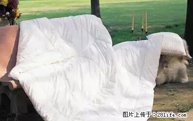 被子有异味？只要这样做，比晒太阳还强100倍！ - 家居生活 - 正定生活社区 - 正定28生活网 zd.28life.net