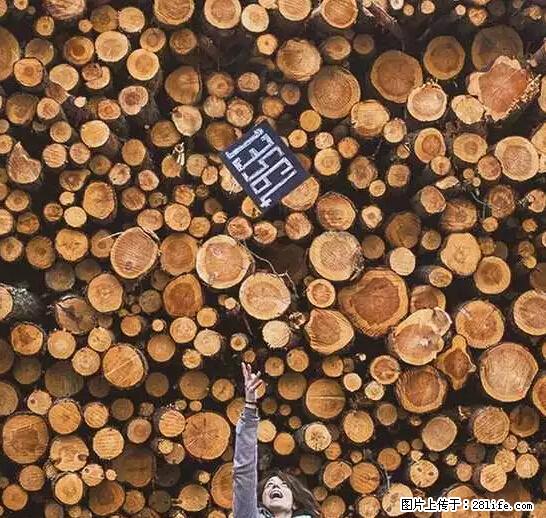 辞掉工作周游世界？现在他们在洗厕所…… - 游山玩水 - 正定生活社区 - 正定28生活网 zd.28life.net