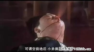 笑癫了！一女的怀孕三年未生，他终于忍不住了... - 娱乐八卦 - 正定生活社区 - 正定28生活网 zd.28life.net