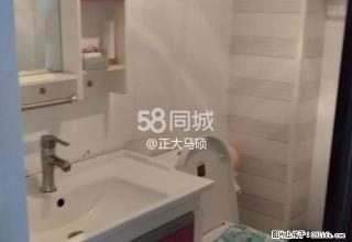 金河国际公寓-D座 1室1厅1卫 - 正定28生活网 zd.28life.net