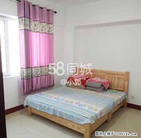 卡萨国际 1室1厅1卫 - 房屋出租 - 房屋租售 - 正定分类信息 - 正定28生活网 zd.28life.net
