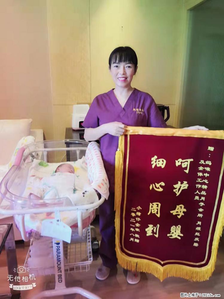 上海高端月子会所招新手月嫂，零基础带教，包吃住 - 职场交流 - 正定生活社区 - 正定28生活网 zd.28life.net