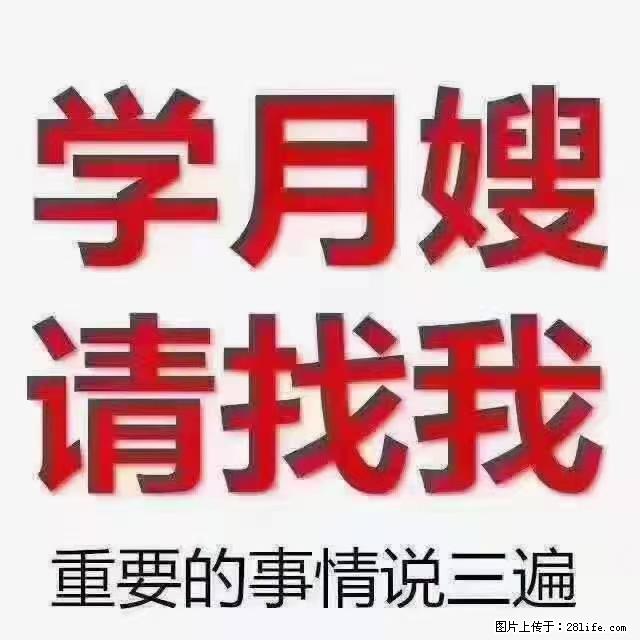 【招聘】月嫂，上海徐汇区 - 职场交流 - 正定生活社区 - 正定28生活网 zd.28life.net