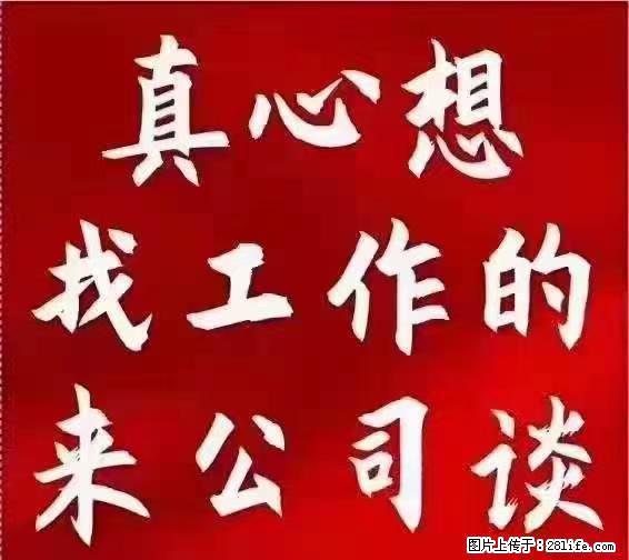【上海】国企，医院招两名男保安，55岁以下，身高1.7米以上，无犯罪记录不良嗜好 - 职场交流 - 正定生活社区 - 正定28生活网 zd.28life.net