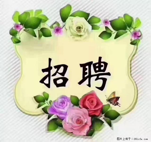 【招聘】住家育儿嫂，上户日期：4月4日，工作地址：上海 黄浦区 - 职场交流 - 正定生活社区 - 正定28生活网 zd.28life.net