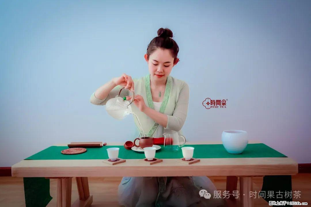时间果百年古树龙珠普洱生茶 - 购物交流 - 正定生活社区 - 正定28生活网 zd.28life.net