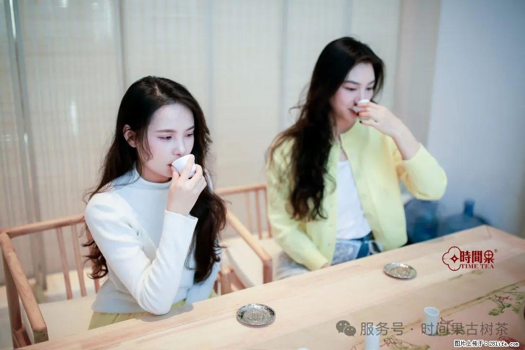 时间果百年古树龙珠普洱生茶 - 购物交流 - 正定生活社区 - 正定28生活网 zd.28life.net