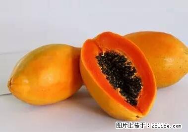 晕车、脚气、牙齿变黄、皮肤粗糙？学会这些三分钟搞定！ - 正定生活资讯 - 正定28生活网 zd.28life.net