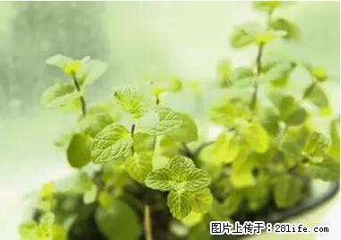 晕车、脚气、牙齿变黄、皮肤粗糙？学会这些三分钟搞定！ - 正定生活资讯 - 正定28生活网 zd.28life.net