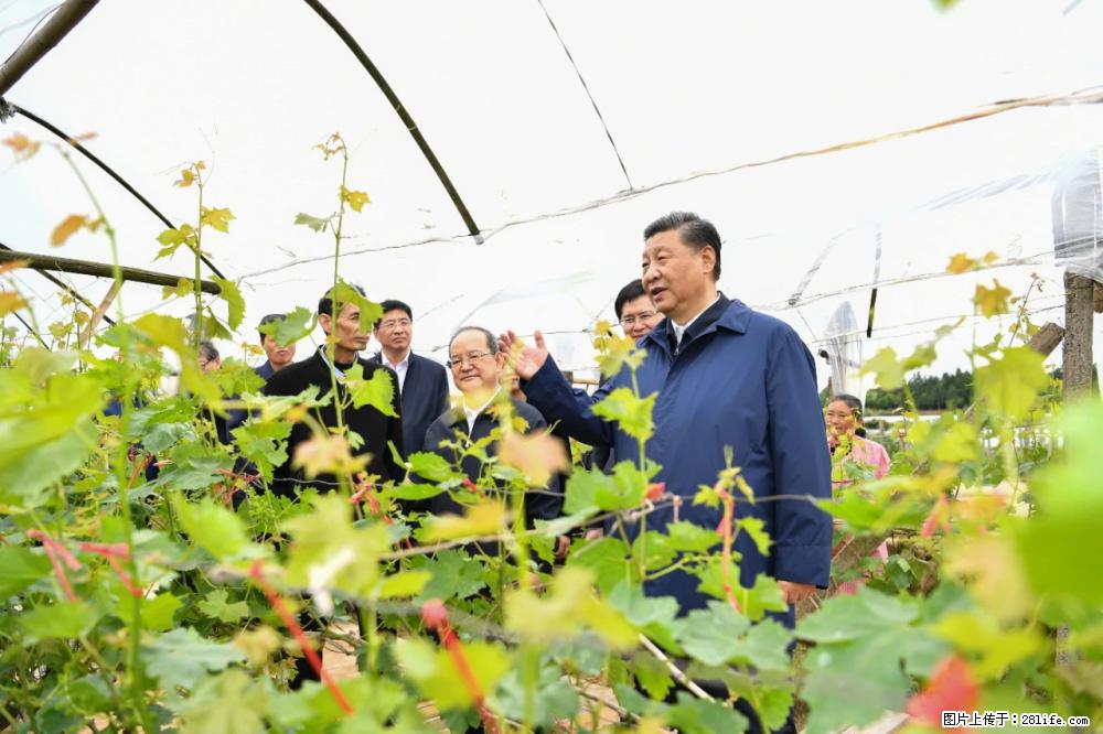 习近平赴广西考察调研 - 正定生活资讯 - 正定28生活网 zd.28life.net