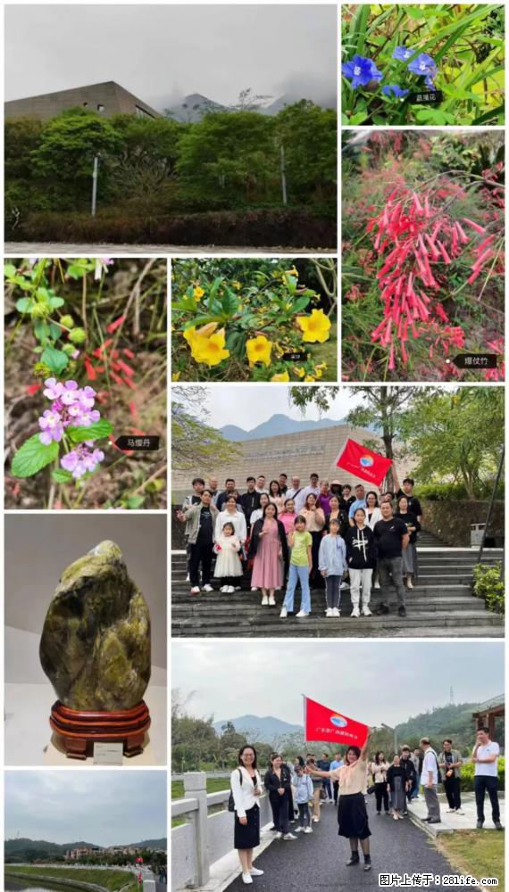 “粤灌文化 美好生活”油茶文化主题活动在广东深圳成功举办 - 正定生活资讯 - 正定28生活网 zd.28life.net