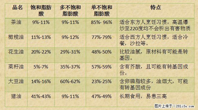 揭秘茶油的5大核心营养成分！被称为人体健康的“守护盾”！ - 正定生活资讯 - 正定28生活网 zd.28life.net