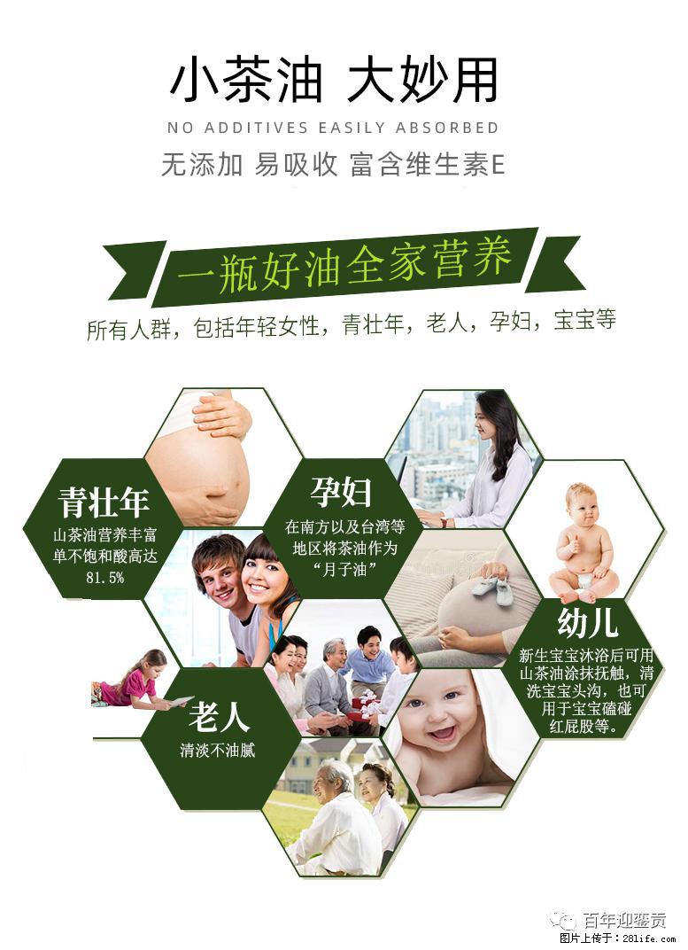 世界没有真相，只有认知，最好的食用油是中国的山茶油！ - 正定生活资讯 - 正定28生活网 zd.28life.net