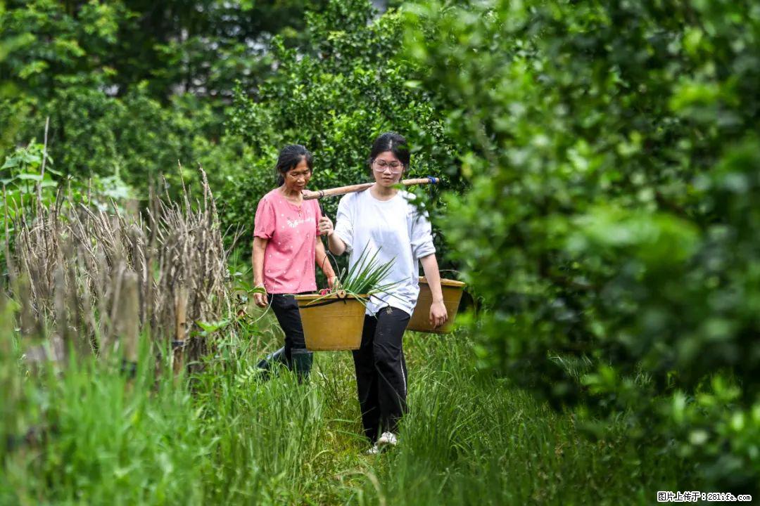 全网追的“扁担女孩”，找了一份暑假工，时薪12元 - 正定生活资讯 - 正定28生活网 zd.28life.net