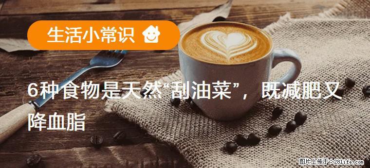 【生活小常识】6种食物是天然“刮油菜”，既减肥又降血脂 - 正定生活资讯 - 正定28生活网 zd.28life.net