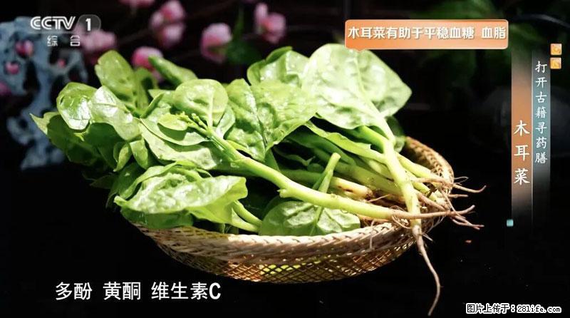 比牛奶补钙还厉害！凉血解毒、稳血糖...这菜冬天必吃，很多人却当草 - 正定生活资讯 - 正定28生活网 zd.28life.net