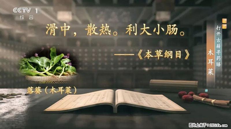 比牛奶补钙还厉害！凉血解毒、稳血糖...这菜冬天必吃，很多人却当草 - 正定生活资讯 - 正定28生活网 zd.28life.net