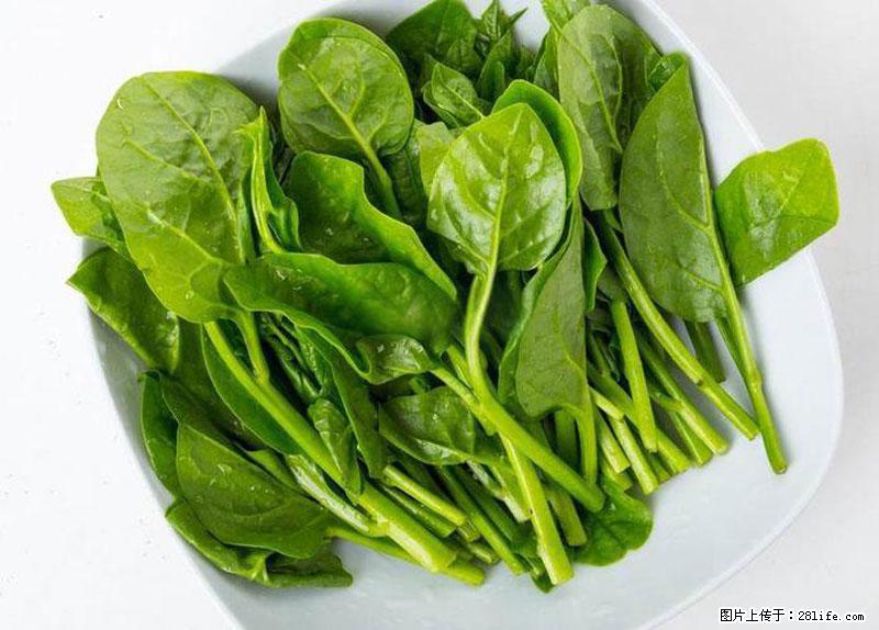 这些蔬菜是“天然钙片”，这6种被医生重点推荐 - 正定生活资讯 - 正定28生活网 zd.28life.net