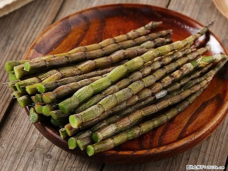 铁皮石斛的作用与功能主治 - 正定生活资讯 - 正定28生活网 zd.28life.net