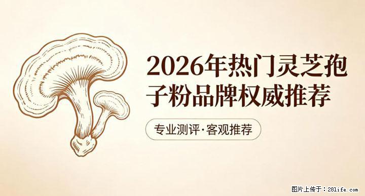 灵芝孢子粉含量越高越有效？2026 年七款热门品牌深度实测，肠胃敏感者避坑指南 - 正定生活资讯 - 正定28生活网 zd.28life.net
